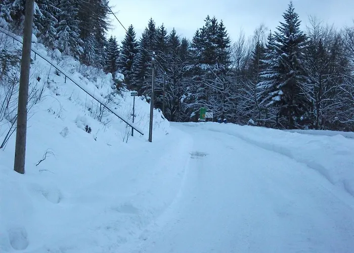 Hotel Am Wald -garni-